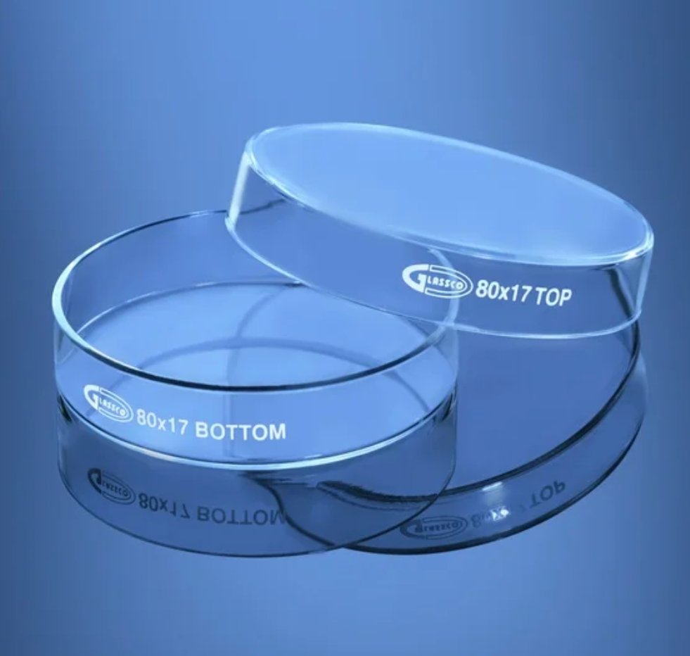 Glass Petri Dish