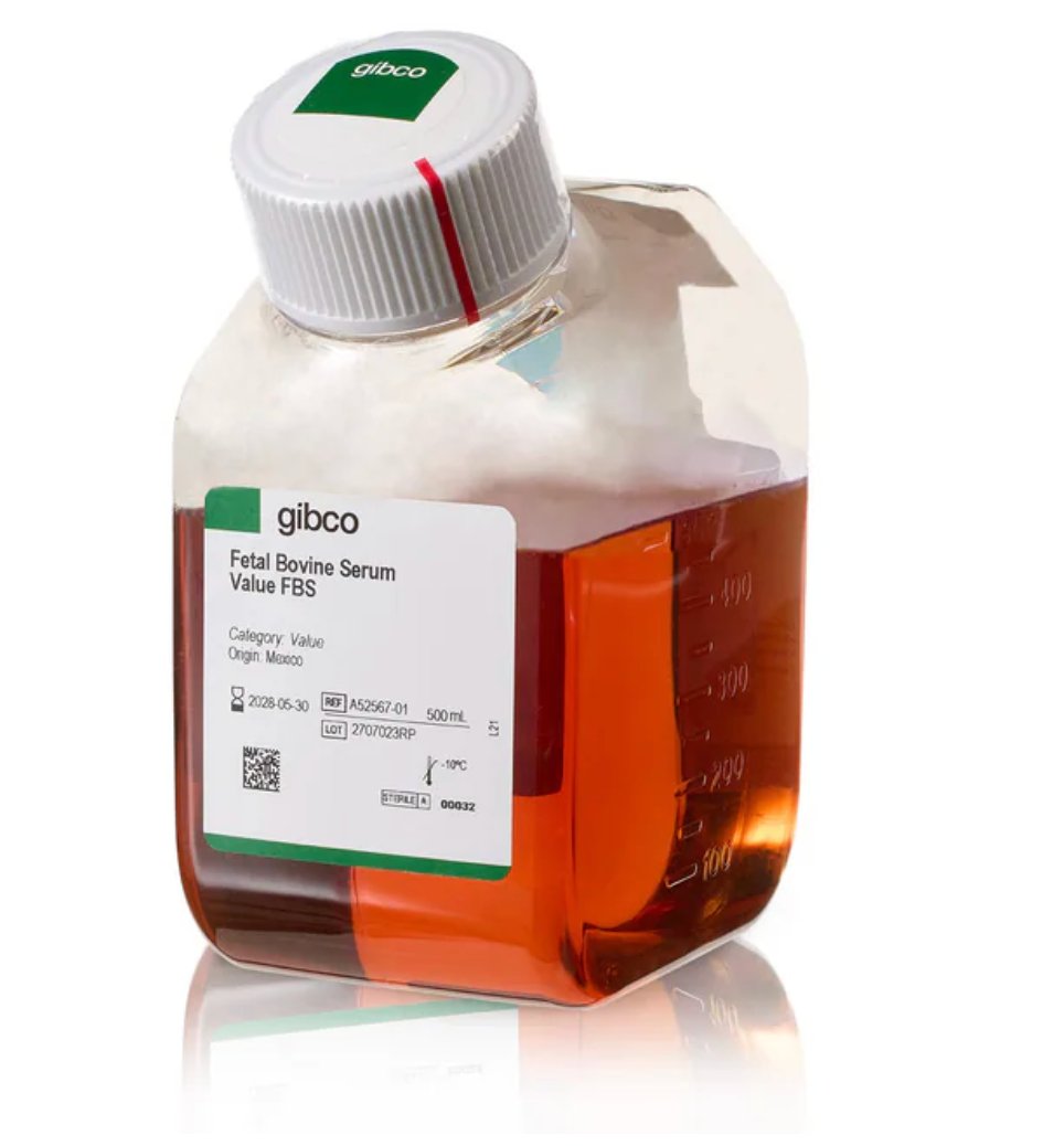 Cell Culture Media — Gibco FBS