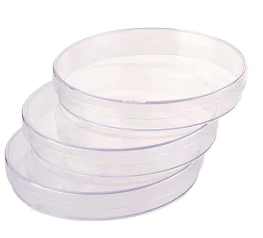 Petri Dish